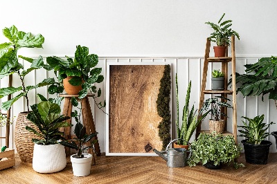 Moss wall art Natural oak