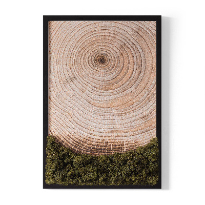 Moss picture Wood grain