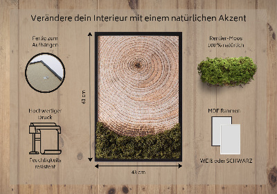 Moss picture Wood grain