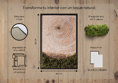 Moss picture Wood grain