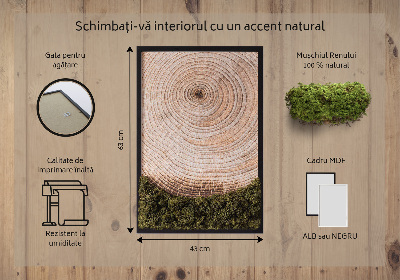 Moss picture Wood grain