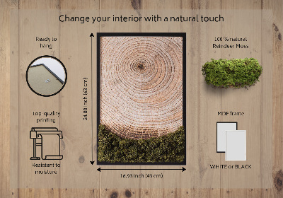 Moss picture Wood grain