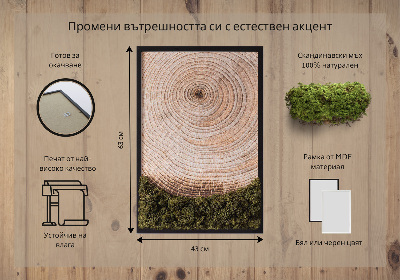 Moss picture Wood grain
