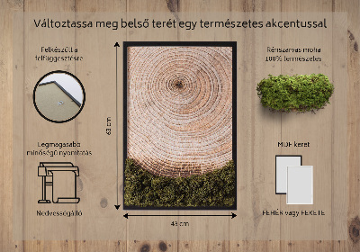 Moss picture Wood grain