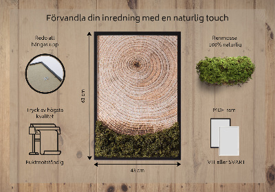 Moss picture Wood grain