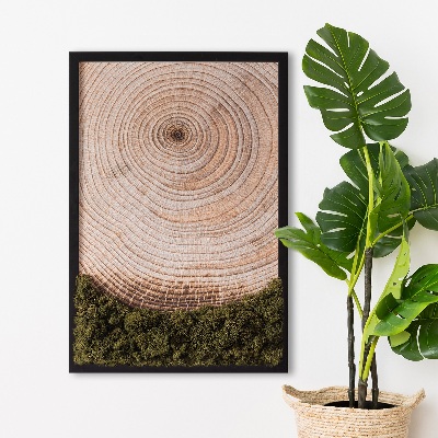 Moss picture Wood grain