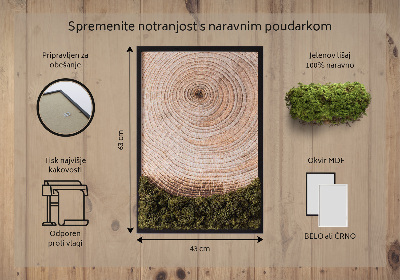 Moss picture Wood grain