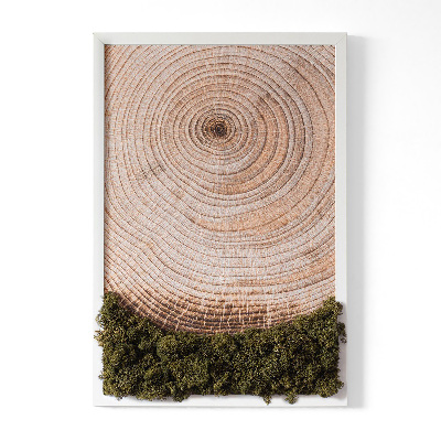 Moss picture Wood grain