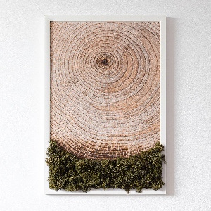 Moss picture Wood grain