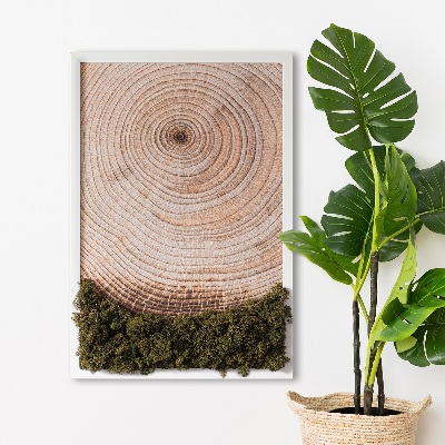 Moss picture Wood grain