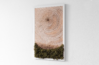 Moss picture Wood grain