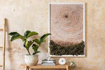 Moss picture Wood grain
