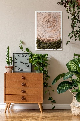 Moss picture Wood grain