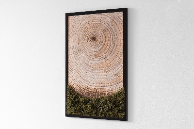 Moss picture Wood grain