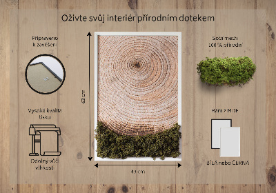 Moss picture Wood grain