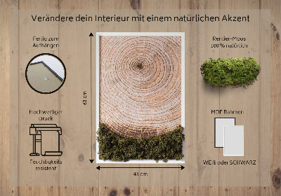Moss picture Wood grain