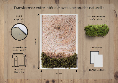 Moss picture Wood grain