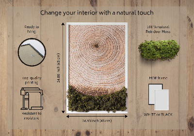 Moss picture Wood grain