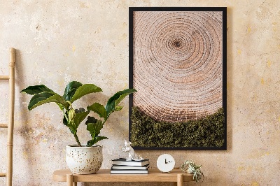 Moss picture Wood grain