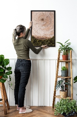 Moss picture Wood grain