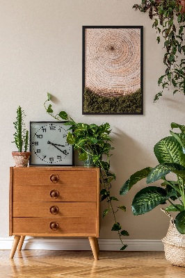 Moss picture Wood grain