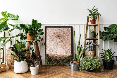 Moss picture Wood grain