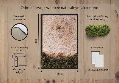 Moss picture Wood grain