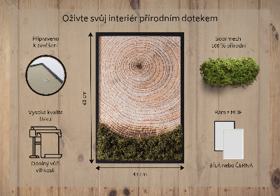 Moss picture Wood grain