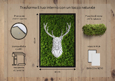 Moss picture Geometric deer