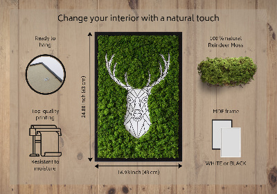 Moss picture Geometric deer