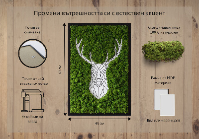 Moss picture Geometric deer