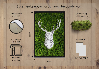 Moss picture Geometric deer