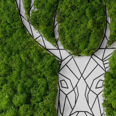 Moss picture Geometric deer