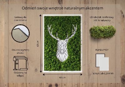 Moss picture Geometric deer
