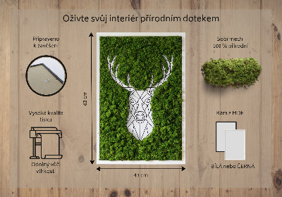 Moss picture Geometric deer