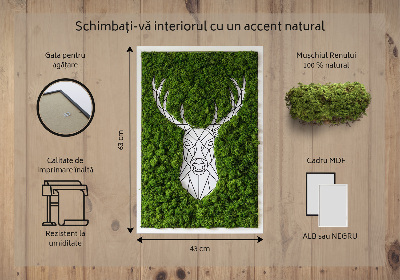 Moss picture Geometric deer
