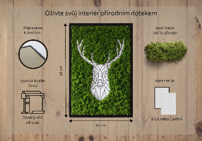Moss picture Geometric deer