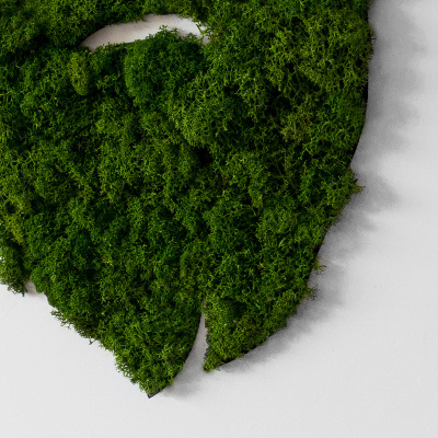 Living moss wall art Hipster with a beard