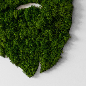 Living moss wall art Hipster with a beard