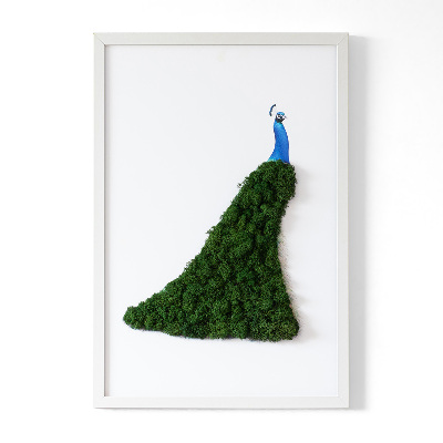 Moss picture Peacock