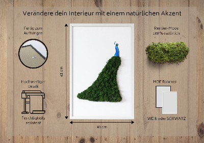 Moss picture Peacock