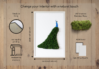 Moss picture Peacock