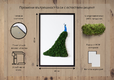 Moss picture Peacock