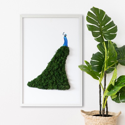 Moss picture Peacock