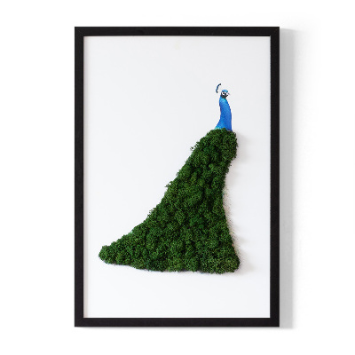 Moss picture Peacock