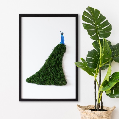 Moss picture Peacock
