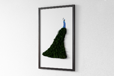 Moss picture Peacock