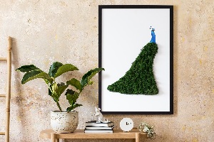 Moss picture Peacock
