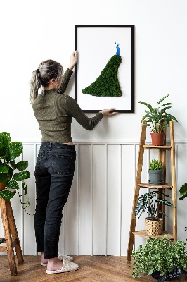Moss picture Peacock