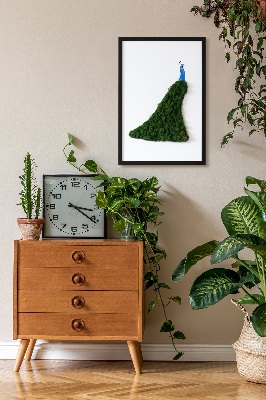Moss picture Peacock